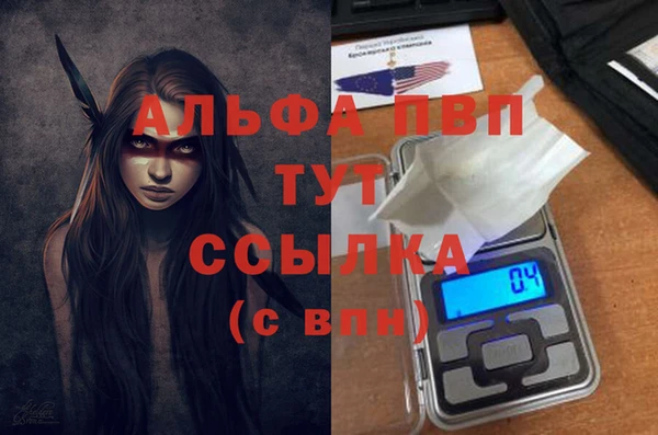 стаф Абаза