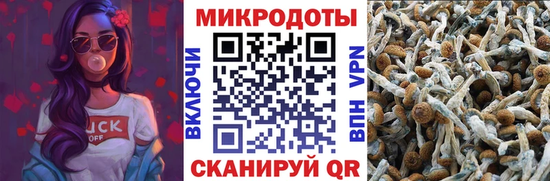 даркнет сайт  Нефтегорск  Псилоцибиновые грибы Magic Shrooms 
